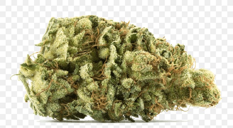 Medical Cannabis Gorilla Glue Kush Cannabis Sativa, PNG, 800x449px, Cannabis, Anxiety Disorder, Body Ache, Cannabis Sativa, Cannabis Shop Download Free