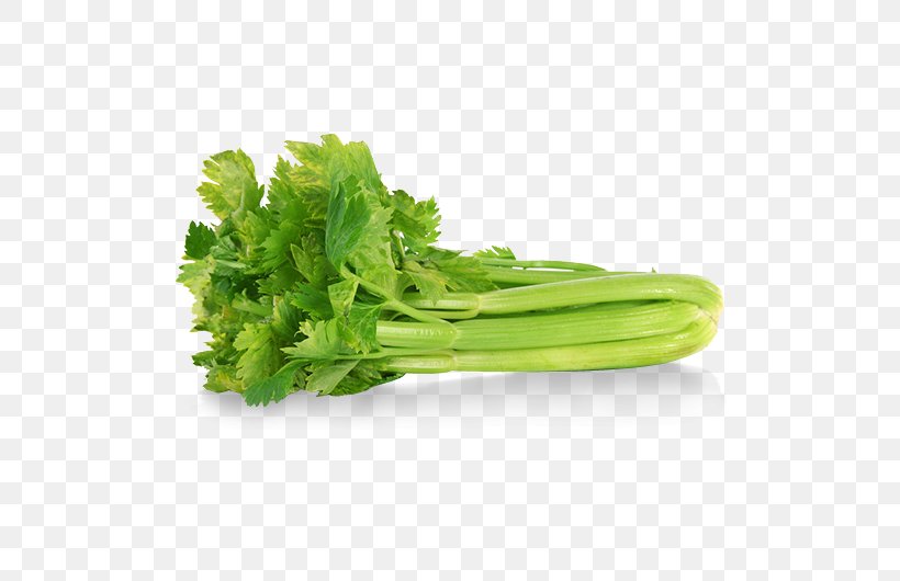 Organic Food Celeriac Mixed Vegetable Soup Seed, PNG, 538x530px, Organic Food, Acorn Squash, Carrot, Celeriac, Celery Download Free