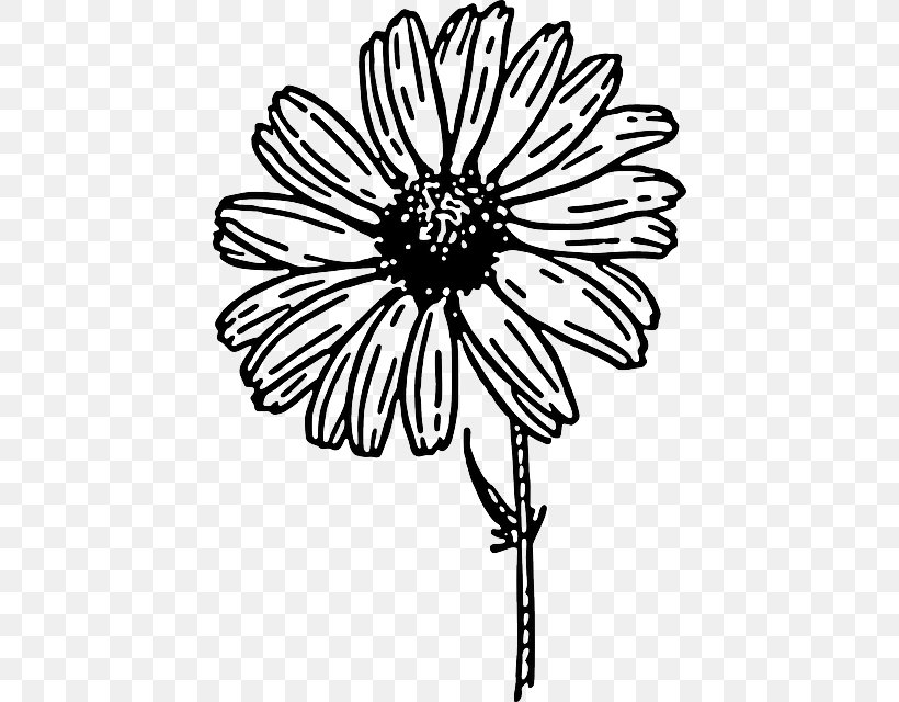 Common Daisy Drawing Clip Art, PNG, 432x640px, Common Daisy, Artwork, Black, Black And White, Chamomile Download Free