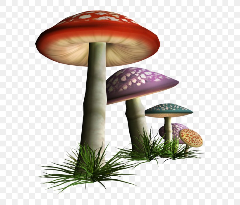 Common Mushroom Fungus Clip Art, PNG, 665x700px, Mushroom, Autumn, Common Mushroom, Coreldraw, Edible Mushroom Download Free