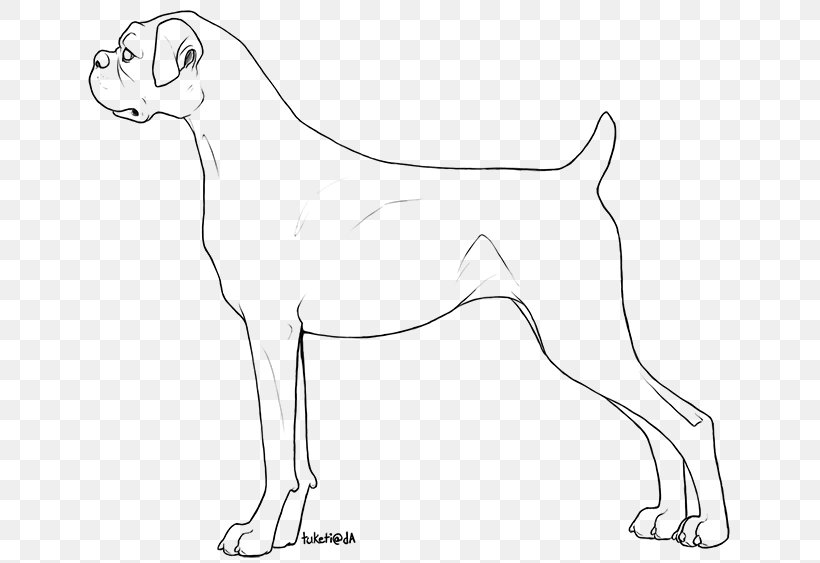 Dog Breed Line Art Boxer Drawing Free Base, PNG, 656x563px, Dog Breed, Anatomy, Artwork, Base, Black And White Download Free