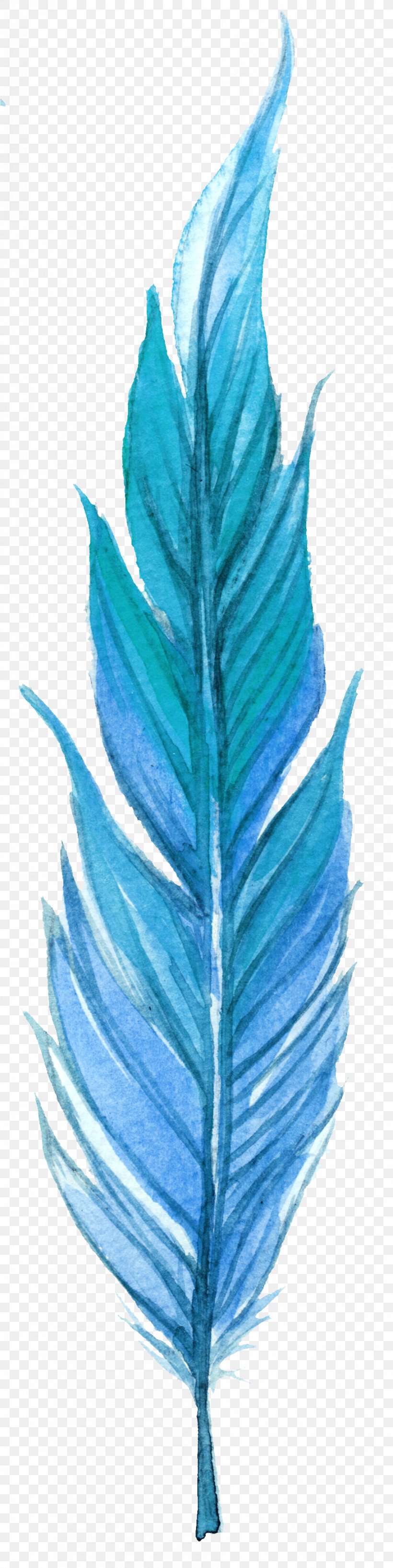 Leaf Feather Orange Plumage, PNG, 906x3618px, Leaf, Blue, Citrus Xd7 Sinensis, Color, Creativity Download Free