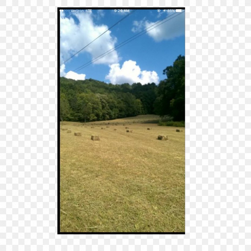 Biome Grassland Steppe Land Lot Ranch, PNG, 1242x1242px, Biome, Area, Cloud, Crop, Ecoregion Download Free