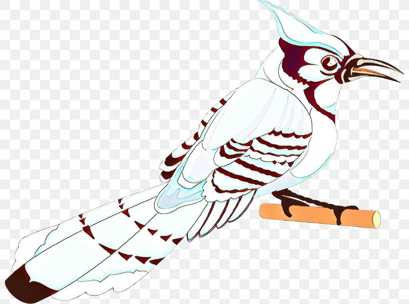 Bird Line Drawing, PNG, 800x610px, Bird, Beak, Blue Jay, Cuckoo, Drawing Download Free