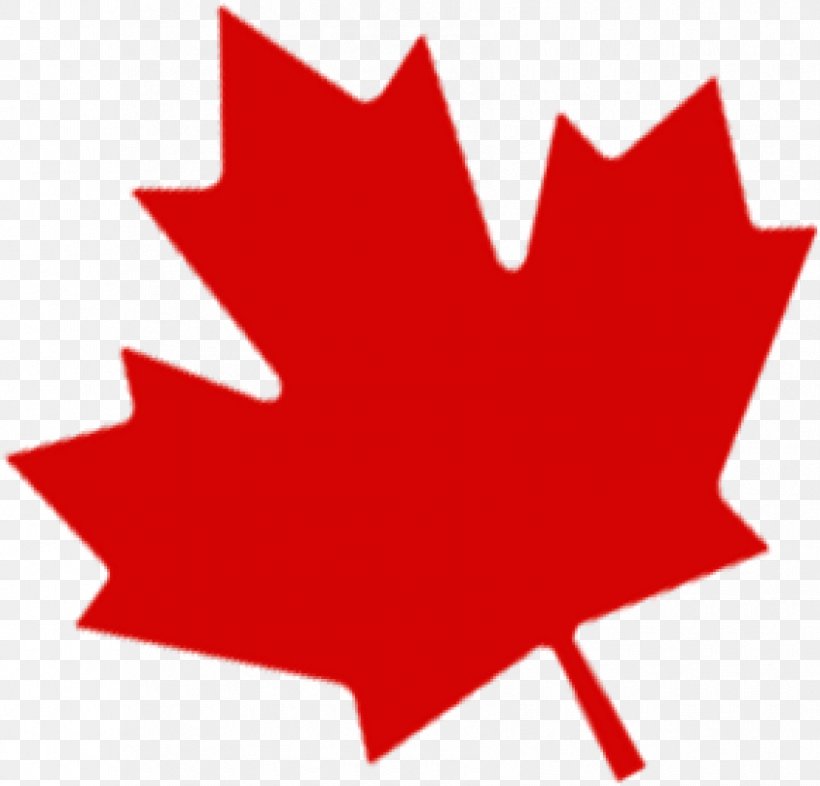 Flag Of Canada Maple Leaf Clip Art, PNG, 850x815px, Canada, Express Entry, Flag Of Canada, Flower, Flowering Plant Download Free