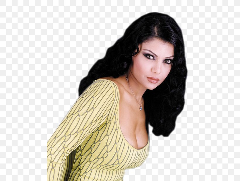 Haifa Wehbe Lebanon Female Actor, PNG, 500x620px, Haifa Wehbe, Actor, Black Hair, Blog, Brown Hair Download Free