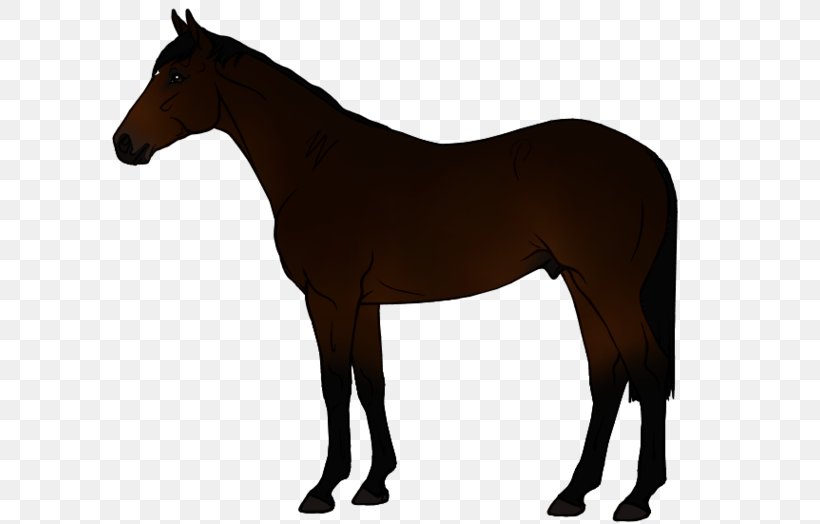Mustang Stallion Mare Foal Colt, PNG, 600x524px, Mustang, Akhalteke, Animal Figure, Appaloosa, Bit Download Free