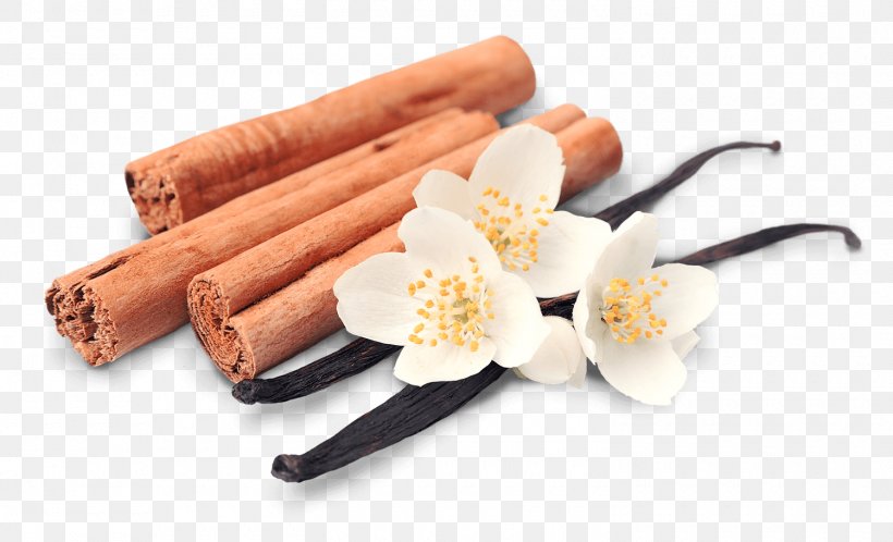 Vanilla Cinnamon Stock Photography Crisp Tea, PNG, 1500x911px, Vanilla, Chinese Cinnamon, Cinnamomum Verum, Cinnamon, Crisp Download Free