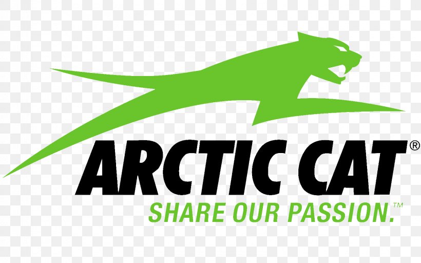 Arctic Cat Yamaha Motor Company Decal Logo Snowmobile, PNG, 1600x1000px, Arctic Cat, Allterrain Vehicle, Area, Artwork, Brand Download Free