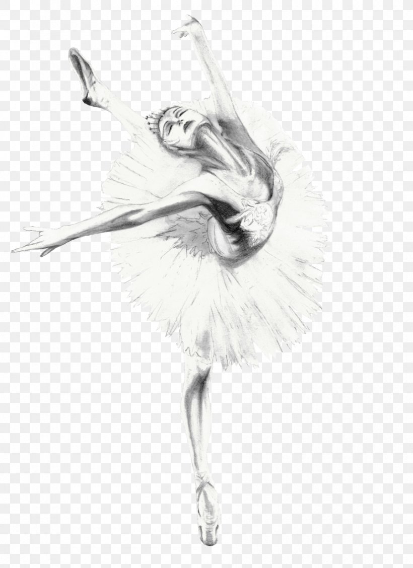 Ballet Dancer Feather Bird Drawing Sketch, PNG, 900x1239px, Ballet Dancer, Artwork, Ballet, Beak, Bird Download Free