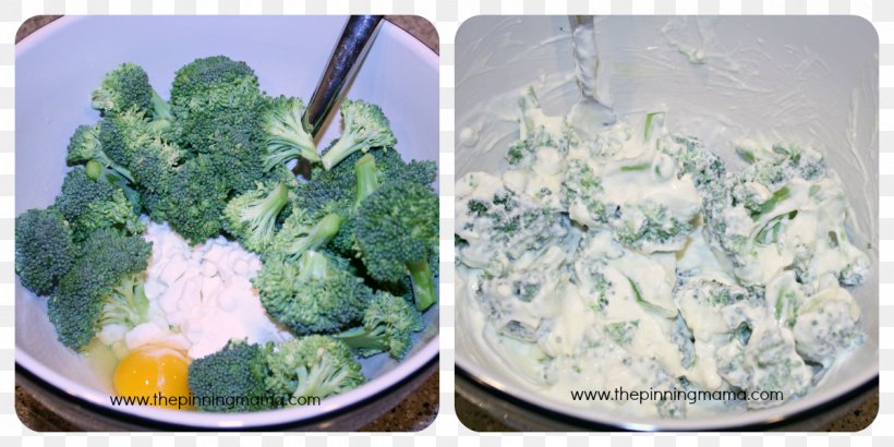 Broccoli Vegetarian Cuisine Recipe Salad Food, PNG, 1200x600px, Broccoli, Cruciferous Vegetables, Cuisine, Dish, Food Download Free