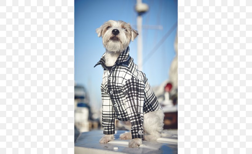 Dog Breed Schnoodle Tartan Snout Outerwear, PNG, 500x500px, Dog Breed, Breed, Carnivoran, Dog, Dog Clothes Download Free