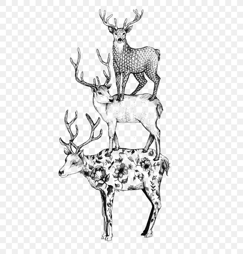 Formosan Sika Deer Black And White, PNG, 550x857px, Deer, Antler, Art, Black And White, Cartoon Download Free
