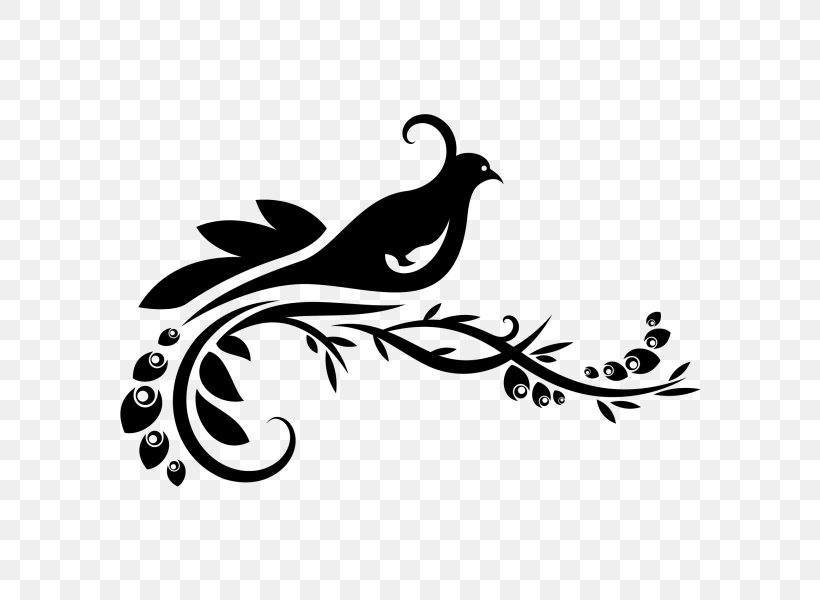 Paper Wall Decal Sticker, PNG, 600x600px, Paper, Art, Beak, Bird, Black And White Download Free