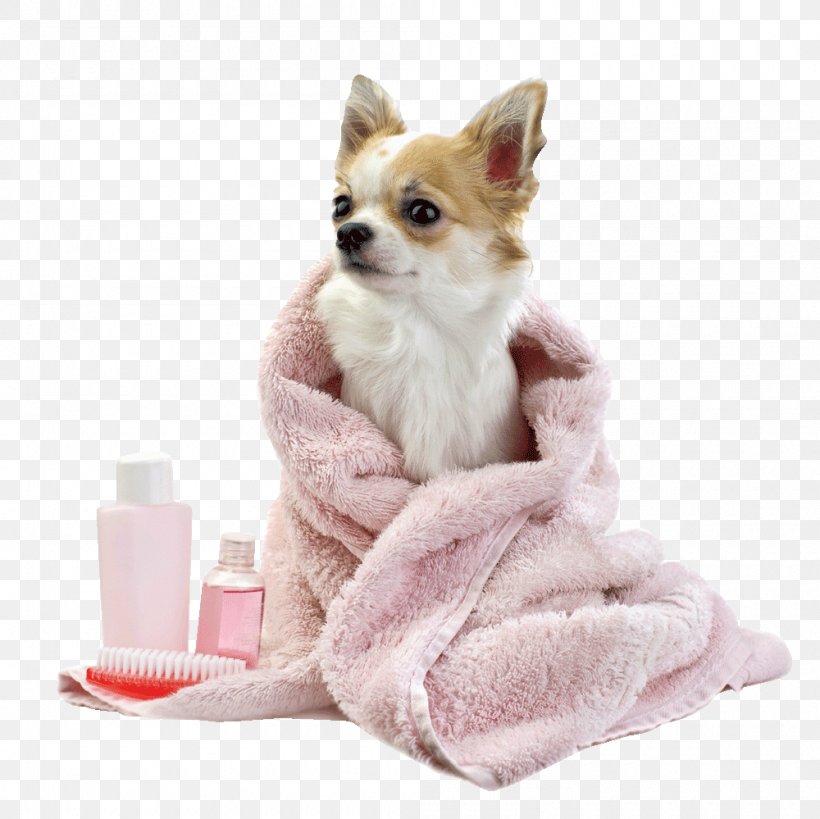 Pug Puppy Cat Dog Grooming Shampoo, PNG, 1000x999px, Pug, Baby Powder, Bathing, Carnivoran, Cat Download Free