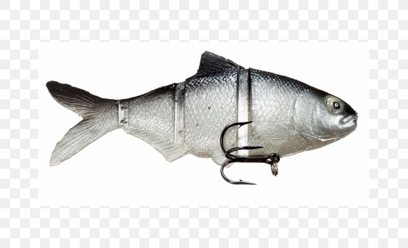 Sardine Castaic Oily Fish Swimbait Milkfish, PNG, 665x500px, Sardine, Bony Fish, Castaic, Fauna, Fish Download Free
