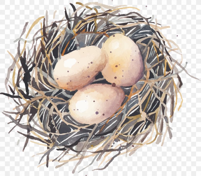 Bird Nest Swallow, PNG, 1198x1052px, Bird, Bird Nest, Drawing, Easter Egg, Egg Download Free