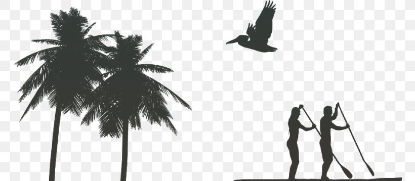Standup Paddleboarding Paradise Tours Puerto Rico Silhouette Graphics Paddling, PNG, 768x358px, Standup Paddleboarding, Afternoon, Artwork, Black, Black And White Download Free