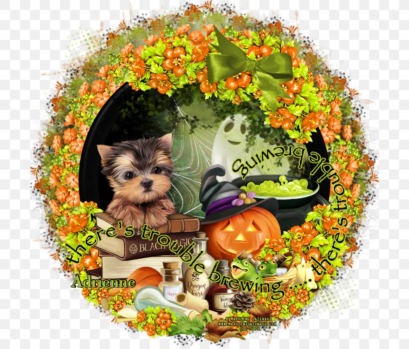 Yorkshire Terrier Puppy Dog Breed Secrets, PNG, 700x700px, 2017, Yorkshire Terrier, Breed, Carnivoran, Crossbreed Download Free