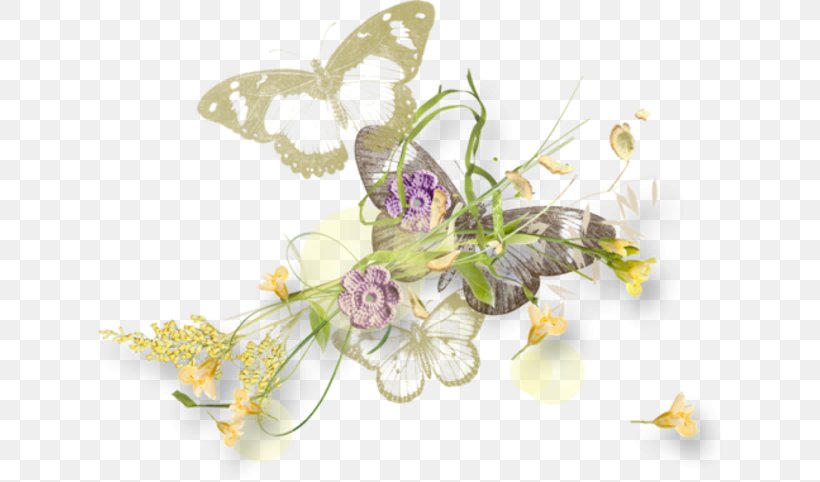 Blog Photography, PNG, 633x482px, Blog, Birman, Burma, Butterfly, Cut Flowers Download Free