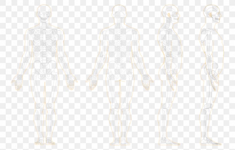 Human /m/02csf Drawing Shoulder Product Design, PNG, 1117x715px, Human, Costume Design, Drawing, Fashion Design, Joint Download Free