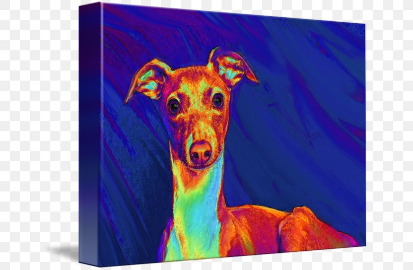 Italian Greyhound Whippet Spanish Greyhound Sighthound, PNG, 650x536px, Italian Greyhound, Acrylic Paint, Animal, Art, Carnivoran Download Free
