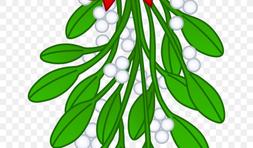 Mistletoe Drawing Clip Art Christmas Day Image, PNG, 640x480px, Mistletoe, Artwork, Botanical Illustration, Branch, Cartoon Download Free