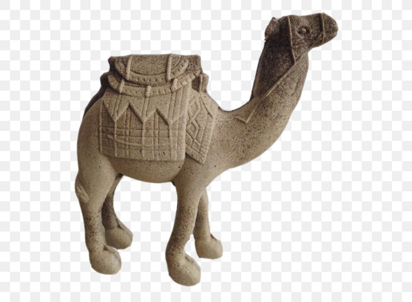 Dromedary Download Computer File, PNG, 600x600px, Dromedary, Arabian Camel, Camel, Camel Like Mammal, Designer Download Free
