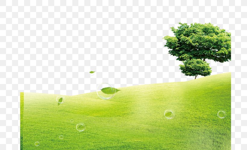 Green Lawn U5ba4u5167u7a7au6c23u6c61u67d3 Formaldehyde, PNG, 715x500px, Green, Air, Air Purifier, Daytime, Energy Download Free