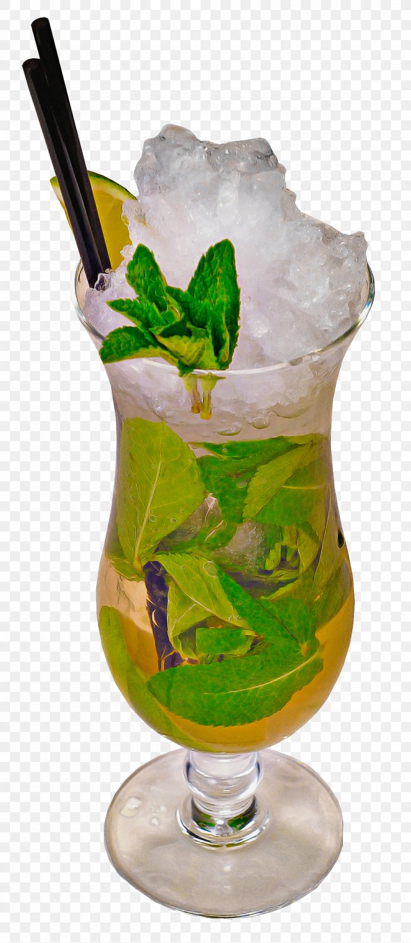 Mojito, PNG, 1000x2294px, Mojito, Alcoholic Beverage, Cocktail, Cocktail Garnish, Distilled Beverage Download Free