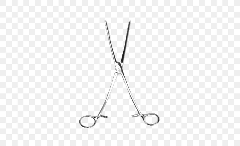 Nipper Bozeman Product Design Hair-cutting Shears Silver, PNG, 500x500px, Nipper, Body Jewellery, Body Jewelry, Bozeman, Fashion Accessory Download Free