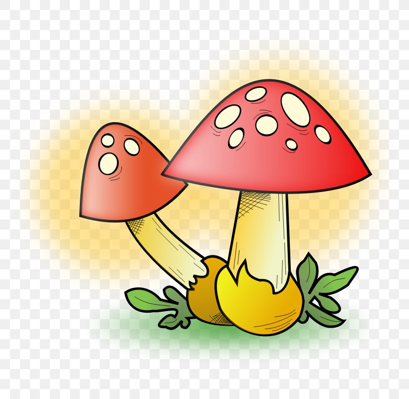 Fungus Mushroom Clip Art, PNG, 800x800px, Fungus, Art, Artwork, Common Mushroom, Flower Download Free