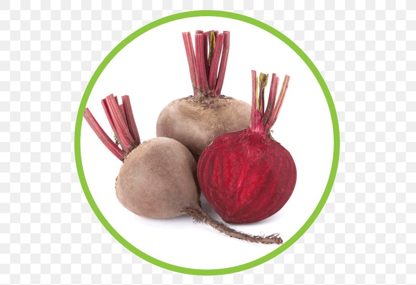 Juice Beetroot Food Root Vegetables, PNG, 562x562px, Juice, Beet, Beetroot, Bile, Concentrate Download Free