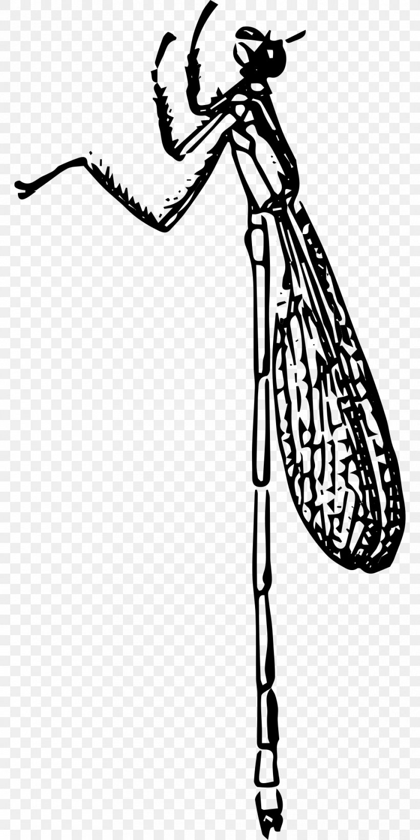 Large Red Damselfly Beetle Clip Art, PNG, 960x1920px, Damselfly, Art, Beetle, Black And White, Cockroach Download Free