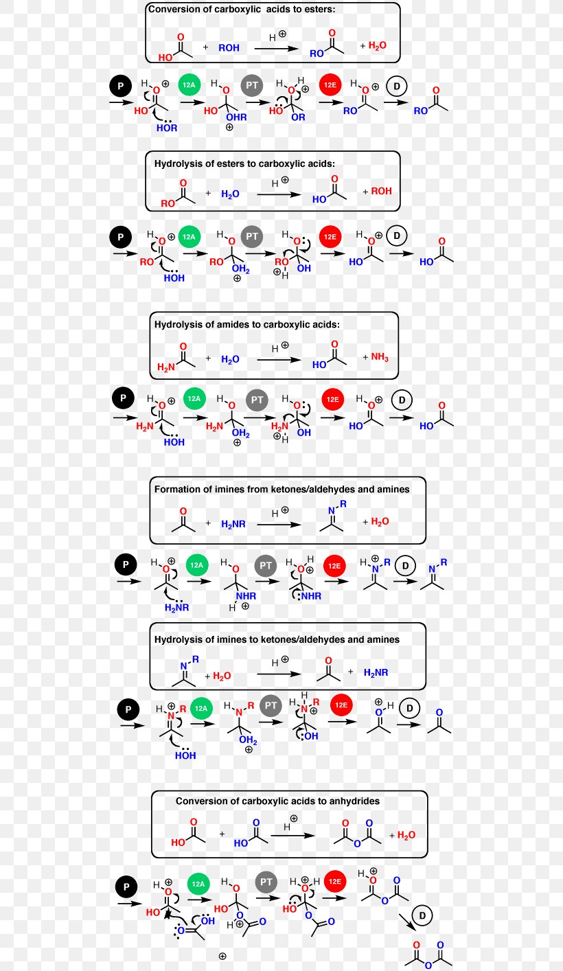 Organic Chemistry Chemical Reaction Carboxylic Acid, PNG, 508x1414px, Organic Chemistry, Acid, Alkene, Amino Acid, Area Download Free