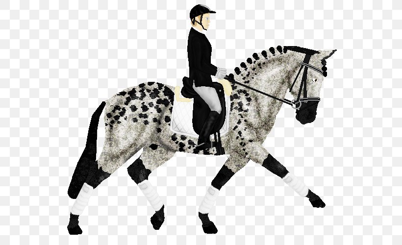 Stallion English Riding Mustang Rein Equestrian, PNG, 589x500px, Stallion, Bridle, English Riding, Equestrian, Equestrian Sport Download Free