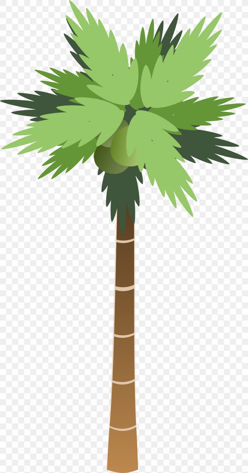 Arecaceae Coconut Tree Clip Art, PNG, 1331x2539px, Arecaceae, Arecales, Borassus Flabellifer, Cartoon, Coconut Download Free