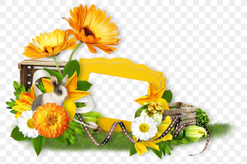 Cut Flowers Happiness Wish Blog, PNG, 800x545px, Flower, Blessing, Blog, Cut Flowers, Daisy Family Download Free
