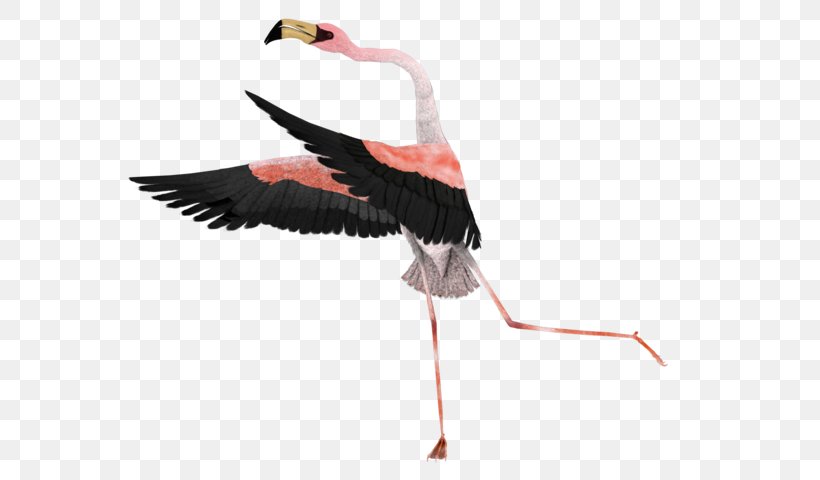 Image White Stork Surrealism Art, PNG, 600x480px, White Stork, Art, Artist, Beak, Bird Download Free