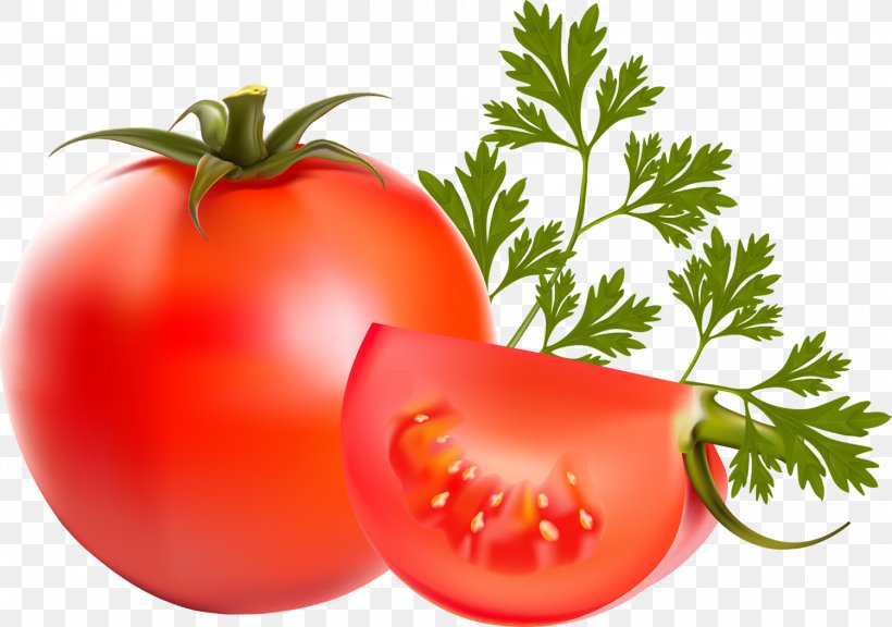 Tomato Vegetable Parsley Food, PNG, 1500x1054px, Tomato, Auglis, Bush Tomato, Color, Diet Food Download Free