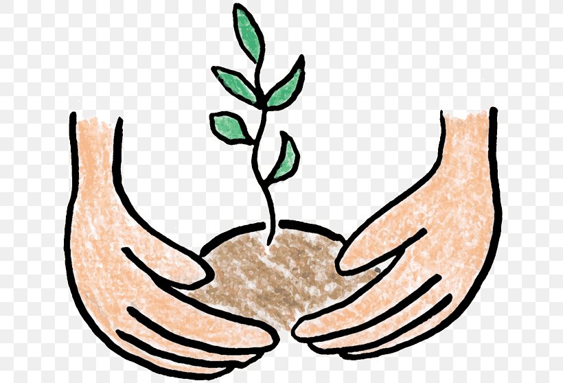 Tree Planting Clip Art, PNG, 650x558px, Tree Planting, Artwork, Commodity, Flora, Flower Download Free