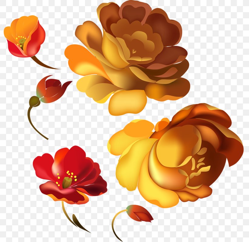 Floral Design Flower Clip Art, PNG, 800x795px, Floral Design, Community, Cut Flowers, Floristry, Flower Download Free