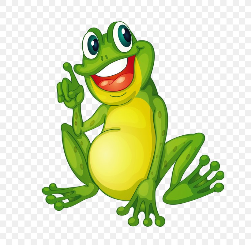 Frog Cartoon Clip Art, PNG, 646x800px, Frog, Amphibian, Art, Australian Green Tree Frog, Cartoon Download Free