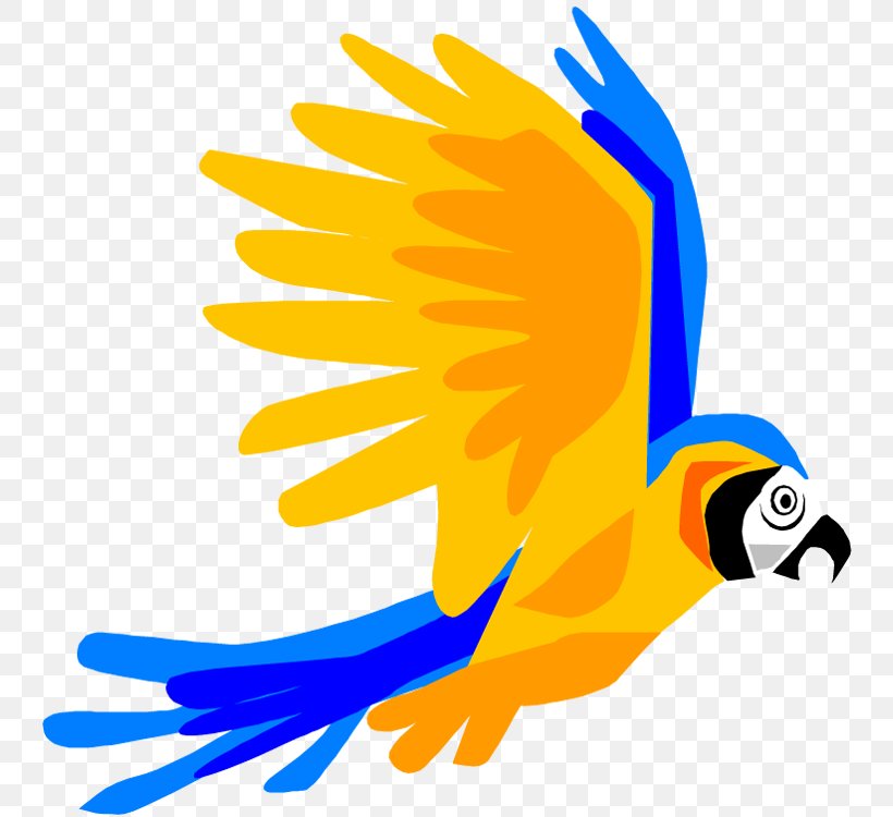 Parrot Bird Flight Macaw Clip Art, PNG, 745x750px, Parrot, Beak, Bird, Bird Flight, Blueandyellow Macaw Download Free