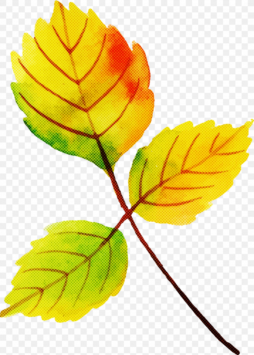 Autumn Leaf Colorful Leaf, PNG, 2145x3000px, Autumn Leaf, Autumn Leafautumn Leaf, Colorful Leaf, Dandelion, Flower Download Free