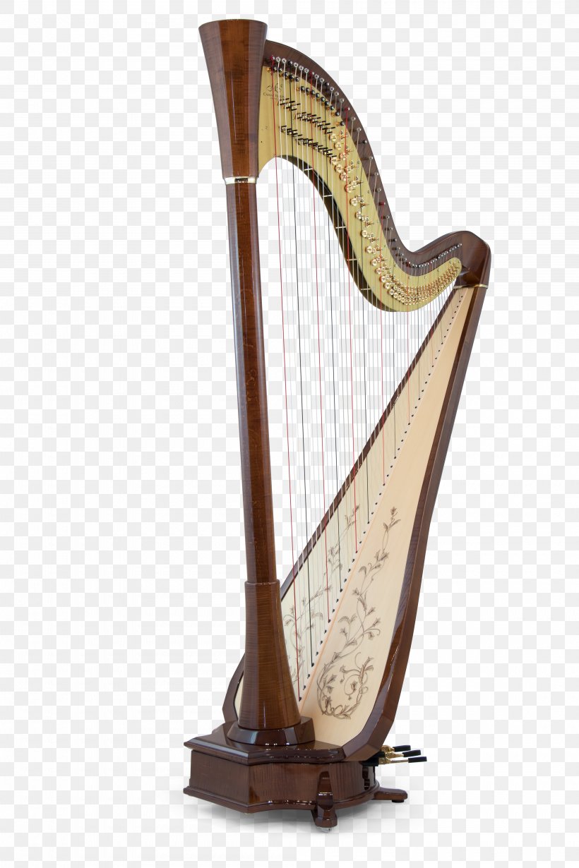 Congress Background, PNG, 4000x6000px, Harpes Camac Sas, Electric Harp, Folk Instrument, Harp, Harpist Download Free