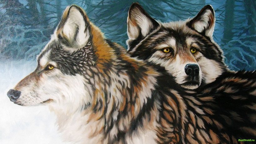 Dog Arctic Wolf Painting Drawing Wallpaper, PNG, 1920x1080px, Dog, Abstract  Art, Arctic Wolf, Art, Canis Download