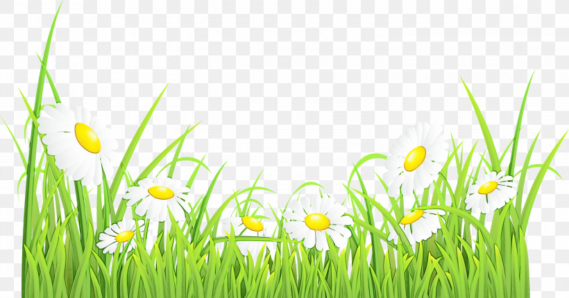 Nature Grass Meadow Natural Environment Plant, PNG, 3000x1575px, Watercolor, Easter, Flower, Grass, Grass Family Download Free