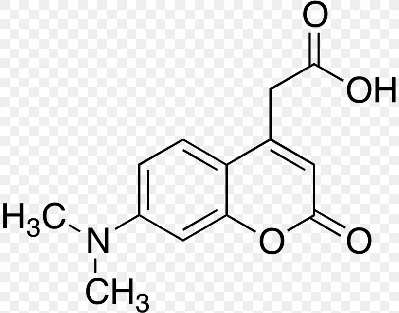 Hymecromone Carvone Molecule Amino Acid Chemical Substance, PNG, 1166x916px, Carvone, Acid, Amino Acid, Area, Aromatic Amino Acid Download Free
