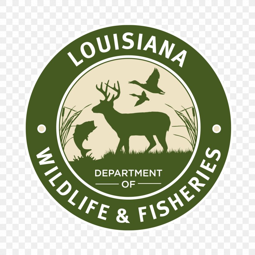 Louisiana Department Of Wildlife And Fisheries Venice Hunting License Fishing, PNG, 1801x1801px, Venice, Antler, Brand, Deer, Fishing Download Free